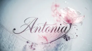 Antonia horizontal - Rosa Eterna