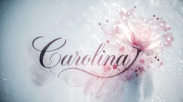 Carolina horizontal - Rosa Eterna
