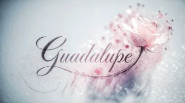 Guadalupe horizontal - Rosa Eterna